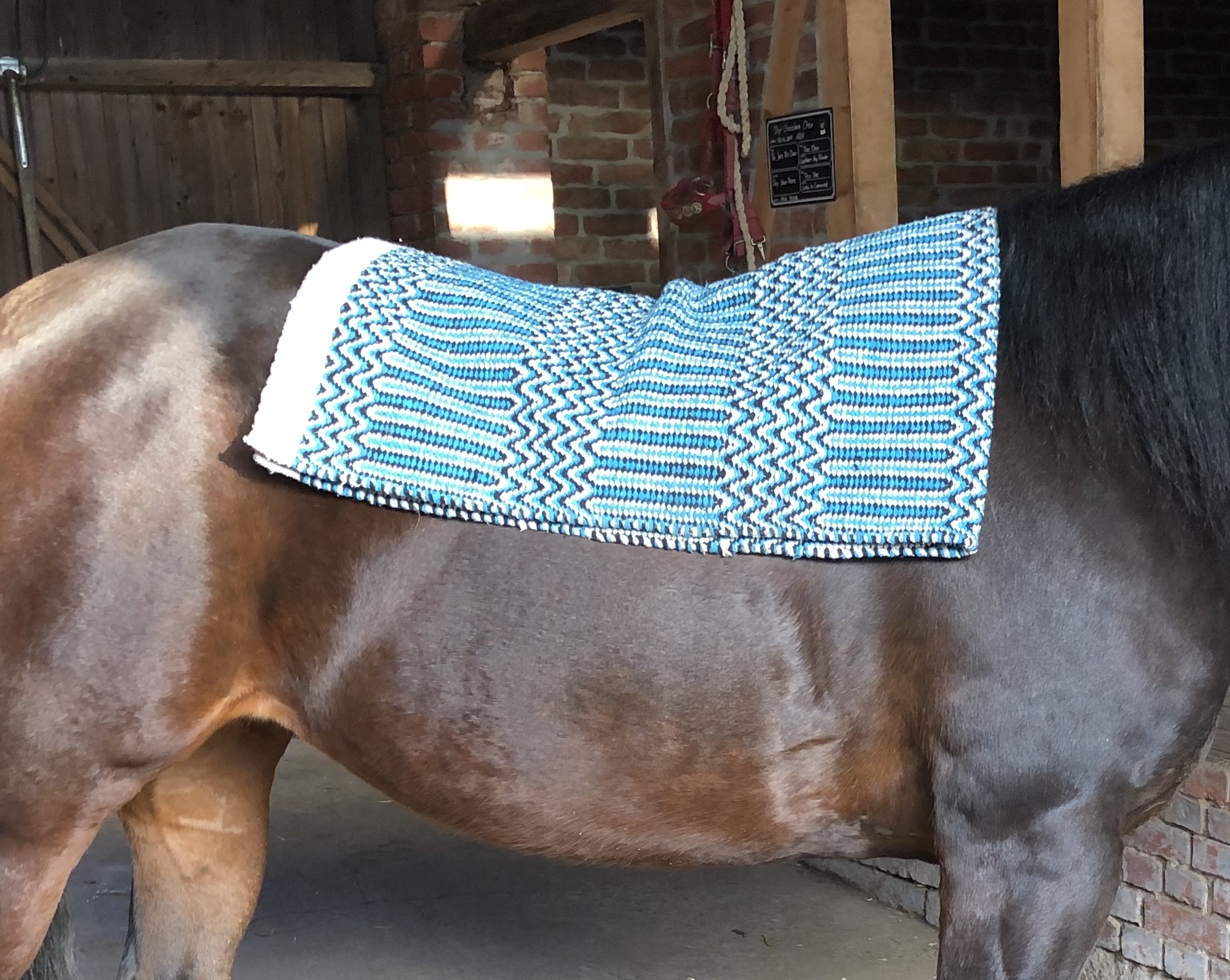 Western Blanket "Double Weave"