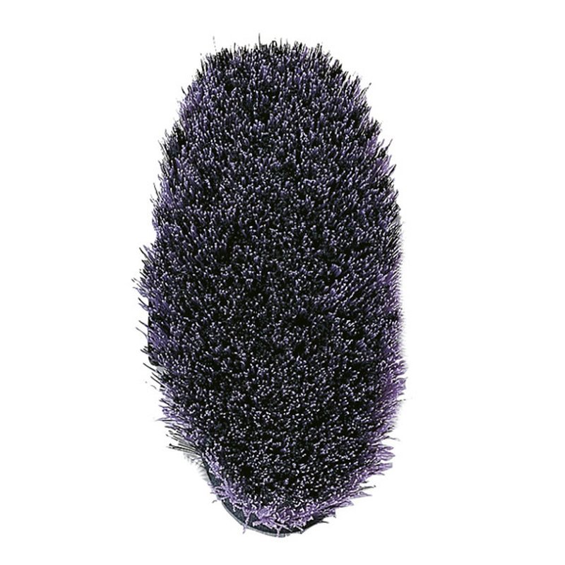 Kardätsche "Brenig Madoc", HAAS