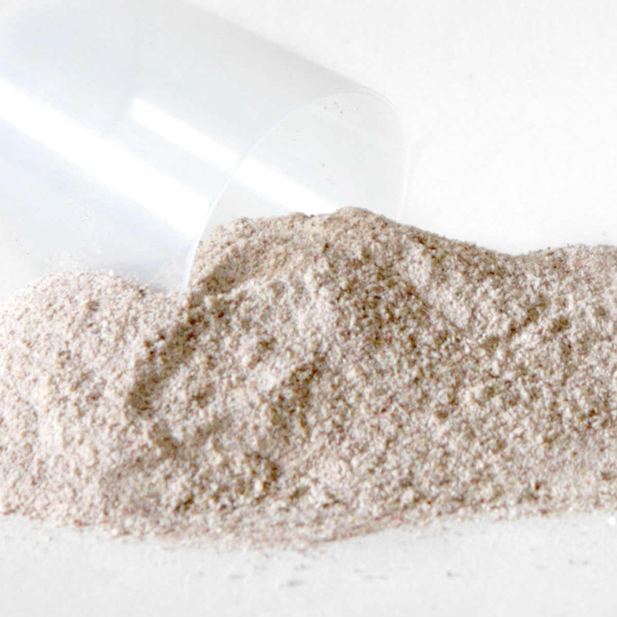 Betacarotilyt - Zucht