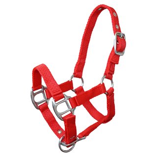 Miniline, Nylonhalfter "Petit"