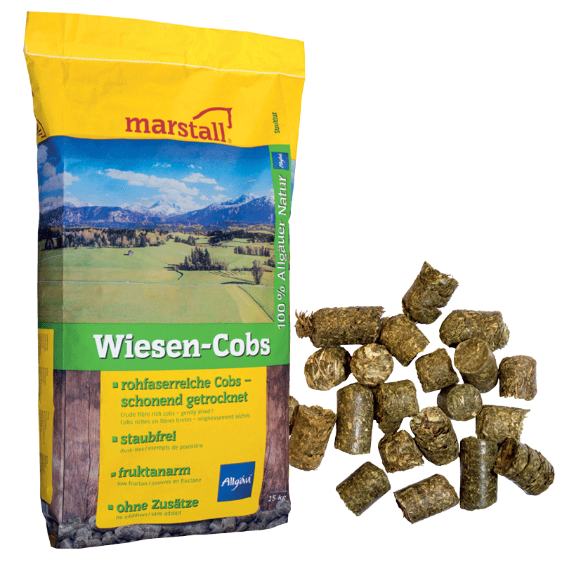 marstall Wiesen-Cobs aus dem Allgäu